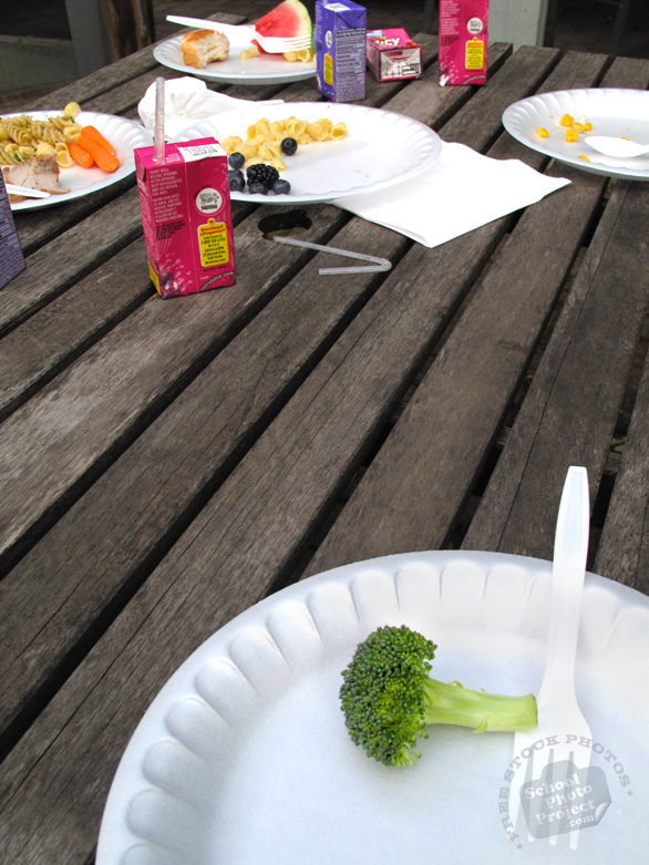 broccoli, plate, fork, pasta, watermelon, blue berry, raspberry, fruits, baby carrot, drink box, food photos, free stock photo, free image, royalty-free image, school project use