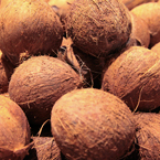 coconuts, coconut photos, tropical fruit, fruit photos, free foto, free photo, stock photos, picture, image, free images download, stock photography, stock images, royalty-free image