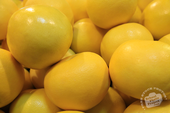 grapefruits, grapefruit photos, pomelo, shaddock, free photo, stock photos, free picture, free images download, stock photography, stock images, royalty-free image