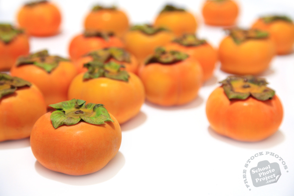 persimmons, fuyu persimmon, persimmon photos, picture of persimmons, fruit photo, free stock photo, free picture, stock photography, stock images, royalty-free image