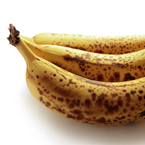 spoiled banana, rotten banana, banana photos, fruit photos, free foto, free photo, stock photos, picture, image, free images download, stock photography, stock images, royalty-free image
