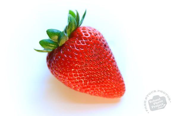 strawberry, strawberry photo, picture of strawberry, fruit photo, free stock photo, free picture, stock photography, stock images, royalty-free image