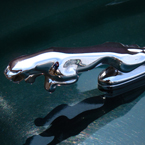 Jaguar, logo, Jaguar's logo, car, automobile identity, free stock photo, free picture, stock photography, royalty-free image