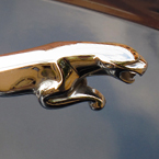 Jaguar, logo, Jaguar's logo, car, automobile identity, free stock photo, free picture, stock photography, royalty-free image