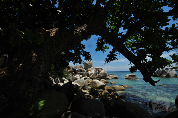 boulders, big rock, stone, water, beach, nature photo, free stock photo, free picture, stock photography, royalty-free image