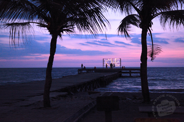 sunset, coconut trees, dusk, seaside, dock, pier, seascape, beach, nature photo, free stock photo, free picture, stock photography, royalty-free image