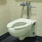 accessible toilet, toilet bowl, toilet seat, public restroom, daily objects, free stock photo, picture, free images download, stock photography, royalty-free image