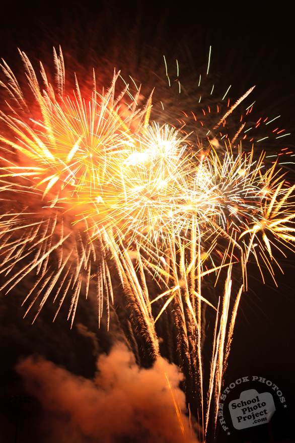 palm-shell fireworks, firework display, colorful fireworks, night sky, New Year's eve, New Year celebration, seasonal picture, holidays celebration, free stock photo, free picture, stock photography, royalty-free image