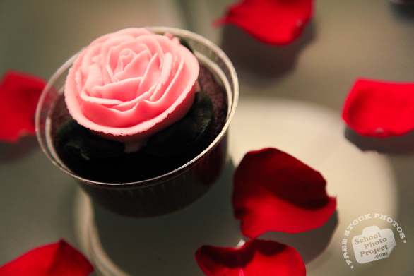 rose, cupcake, rose petals, Valentine's Day, seasonal picture, holidays celebration, free stock photo, free picture, stock photography, royalty-free image