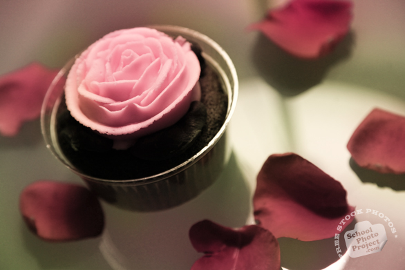 rose, cupcake, rose petals, Valentine's Day, seasonal picture, holidays celebration, free stock photo, free picture, stock photography, royalty-free image