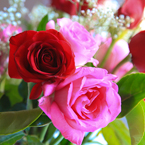 rose, red roses, pink rose, rose bouquet, Valentine's Day, flower vase, seasonal picture, holidays celebration, free stock photo, free picture, stock photography, royalty-free image