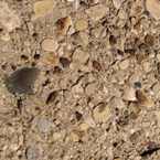 stone, concrete, gravels, cement, concrete texture, wall texture, wall pattern, wall photo, free stock photo, free picture, stock photography, royalty-free image