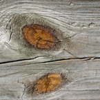 wood, wooden, wood pattern, wood texture, plank, plank texture, wood photo, wood picture, free stock photo, free picture, stock photography, royalty-free image