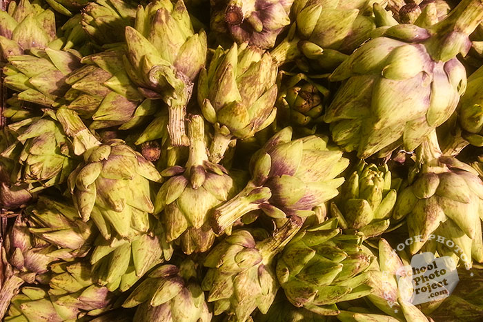 artichoke, spiny artichoke, artichoke flowers, vegetable, fresh veggie, vegetable photo, free stock photo, free picture, stock photography, royalty-free image