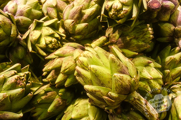 artichoke, spiny artichoke, artichoke flowers, vegetable, fresh veggie, vegetable photo, free stock photo, free picture, stock photography, royalty-free image