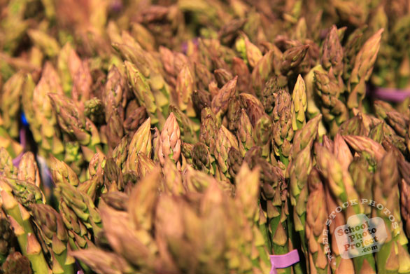 asparagus, vegetable photos, veggie, free stock photo, royalty-free image