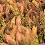 asparagus, vegetable photos, veggie, free stock photo, royalty-free image