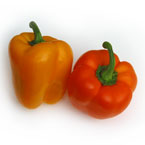 bell pepper, vegetable, fresh veggie, vegetable photo, free stock photo, free picture, stock photography, royalty-free image