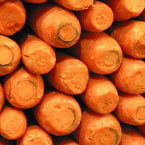 carrot, vegetable, fresh veggie, vegetable photos, photo, free photo, stock photos, royalty-free image