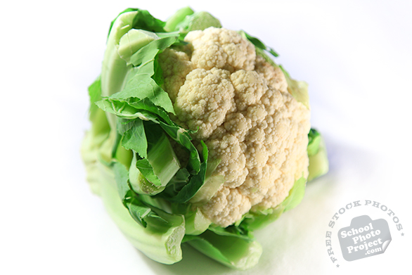 white cauliflower, vegetable, fresh veggie, vegetable photo, free stock photo, free picture, stock photography, royalty-free image