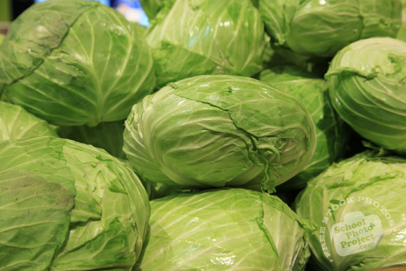 flat cabbage, vegetable photos, veggie, free stock photo, royalty-free image