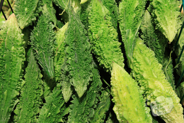 Indian bitter melon, vegetable photos, veggie, free stock photo, royalty-free image