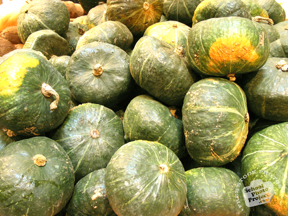 kabocha, squash, vegetable, fresh veggie, vegetable photos, photo, free photo, stock photos, royalty-free image