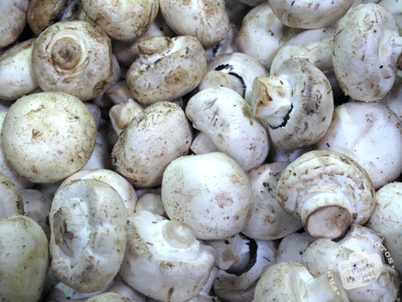 mushroom, mushroom photo, vegetable, fresh veggie, vegetable photo, free stock photo, free picture, stock photography, royalty-free image