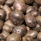 purple majesty potato, vegetable photos, veggie, free stock photo, royalty-free image