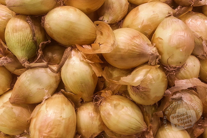 Spanish onion, onion bulb, veggie, vegetable photo, free stock photo, free picture, royalty-free image