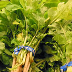 vegetable, veggie, fresh veggie, vegetable photo, free stock photo, free picture, stock photography, royalty-free image, free image