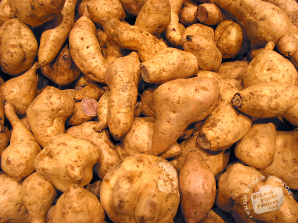 yam, yam photo, vegetable, fresh veggie, vegetable photo, free stock photo, free picture, stock photography, royalty-free image