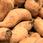 yam, tuber, vegetable photos, veggie, free stock photo, royalty-free image