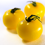 yellow tomato, fresh tomato, vegetable, fresh veggie, vegetable photo, free stock photo, free picture, stock photography, royalty-free image